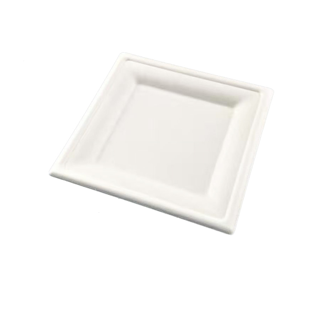 100% Compostable 8 Inch Heavy-duty Plates Bagasse Disposable Square