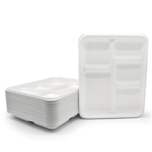 Compostable Sugarcane Bagasse 5 Compartment Long Tray plate