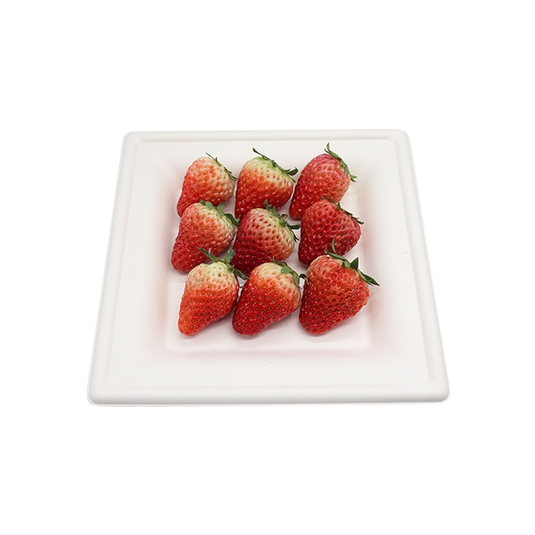 100% Compostable 8 Inch Heavy-duty Plates Bagasse Disposable Square