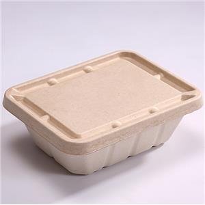 Disposable Sugarcane Pulp Lunch Rec Box For Take Away