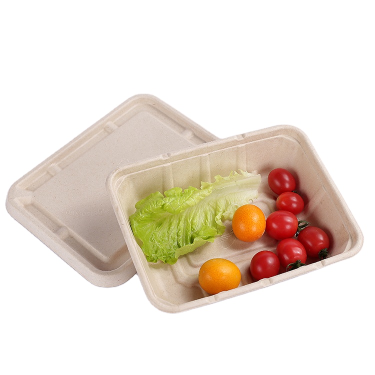 Disposable Sugarcane Pulp Lunch Rec Box For Take Away