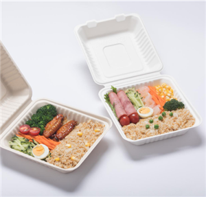 8inch Clamshell Bagasse Lunch Box Food Container