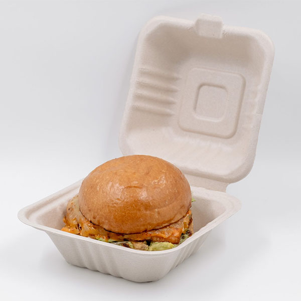 Bagasse Clamshell Burger Box Lunch