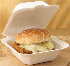 Китай Обед в коробке с гамбургерами из багассы, производитель