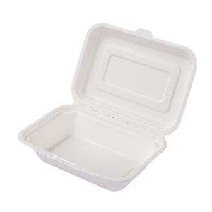 450ml Sugar Cane Bagasse Biodegradable Lunch Box