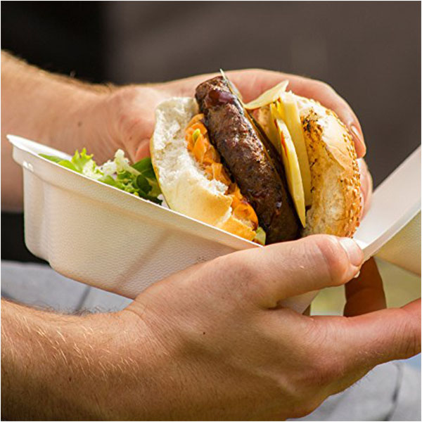 Bagasse Hamburger Lunch Food Box
