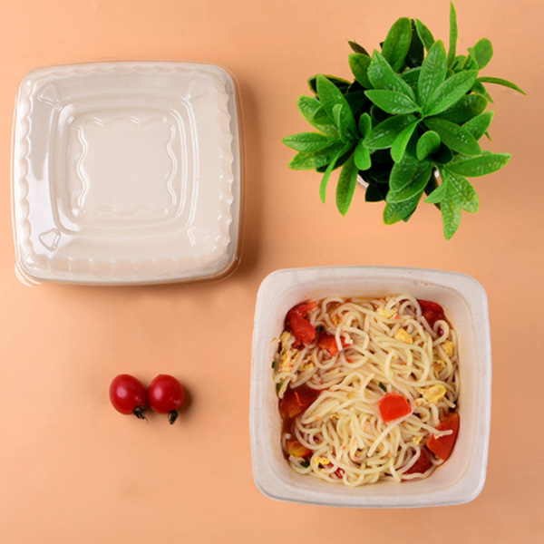 Bagasse Bevelled Square Bowl With Lid