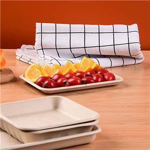 Compostable Sugarcane Pulp Meat Tray