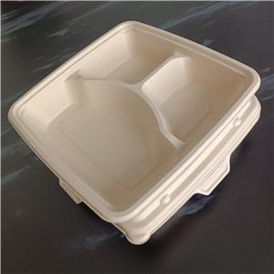 Sugarcane Disposable 3 Compartment Lunch Tray