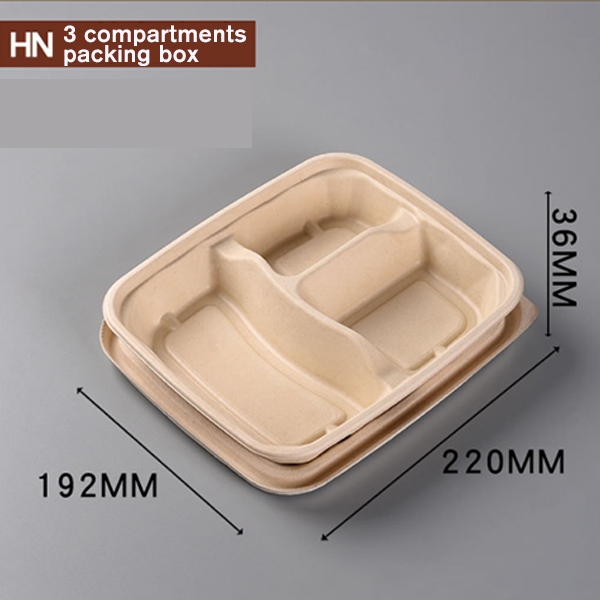 Sugarcane Bagasse Catering Tray With Lid
