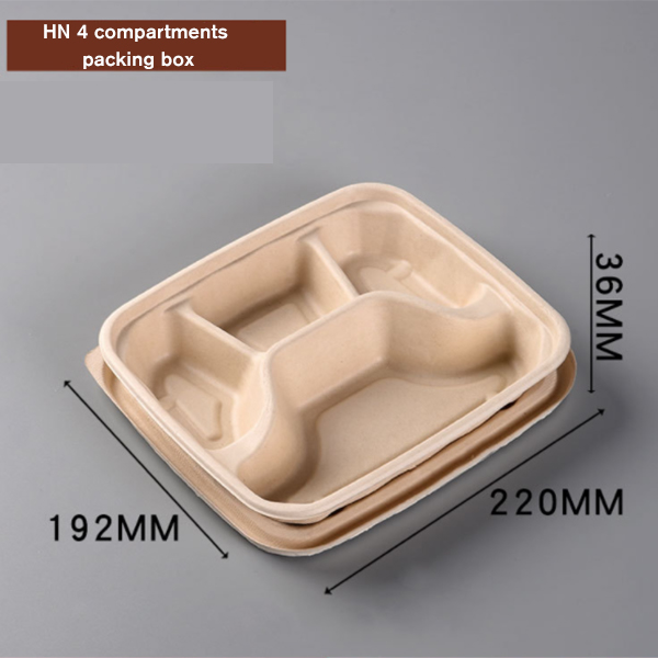 Sugarcane Bagasse Catering Tray With Lid