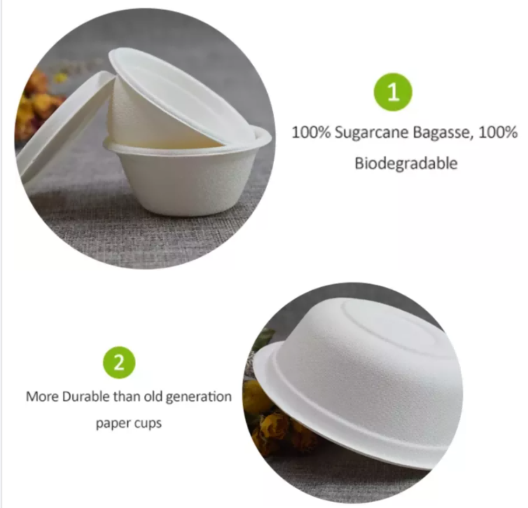 biodegradable sugarcane cup
