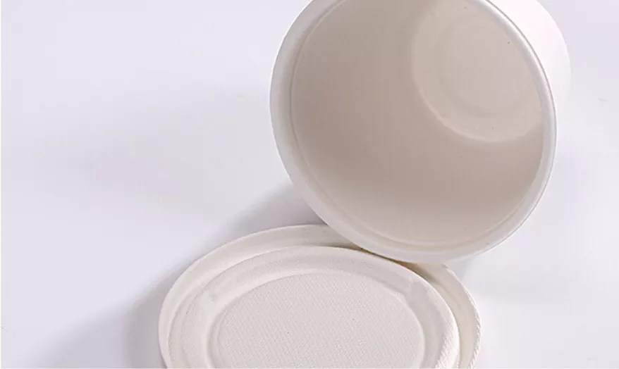 food bagasse cup