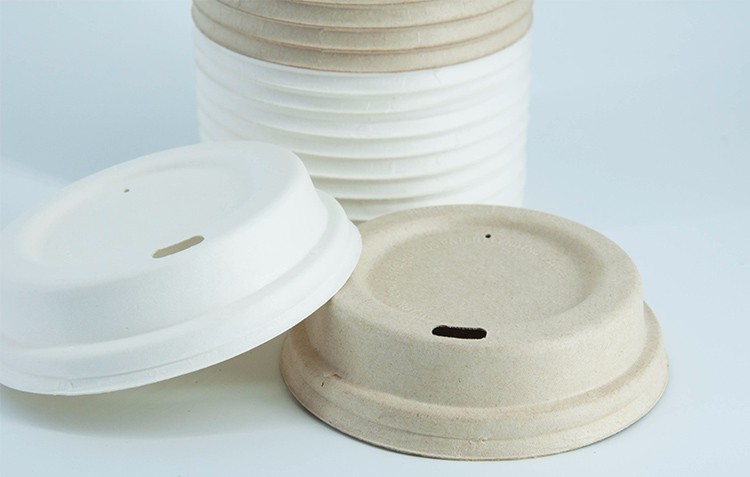 strawless bagasse lid paper cup