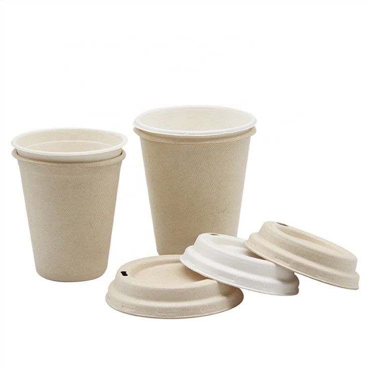 strawless bagasse lid paper cup