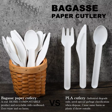 Disposable Bagasse Spoon Fork Knife