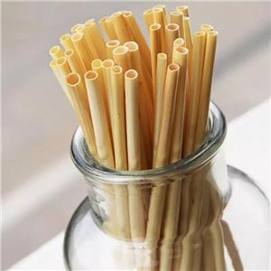 biodegradable disposable wheat straws