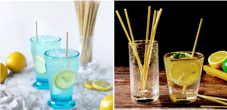 biodegradable straw disposable