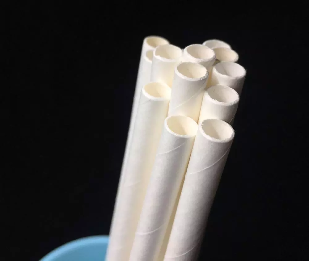 paper straw biodegradable