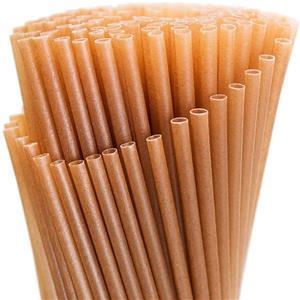 bagasse disposable sugarcane fiber drinking straw for juice