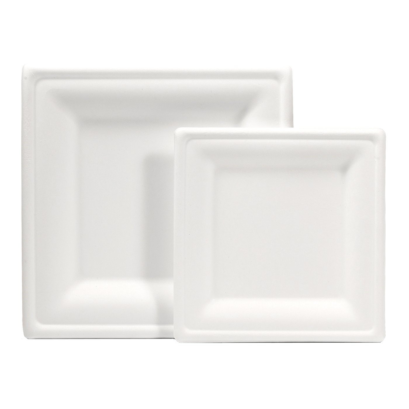 10 inch sugarcane paper disposable bagasse plate