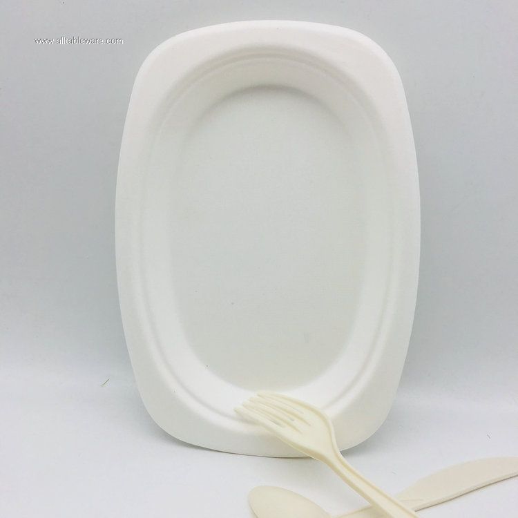 biodegradable rigid sugarcne bagasse plates