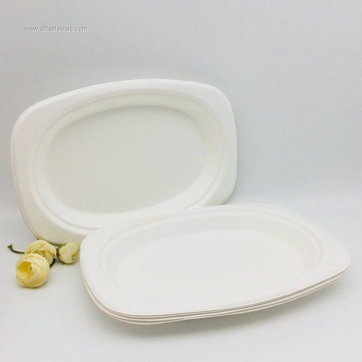 biodegradable rigid sugarcne bagasse plates