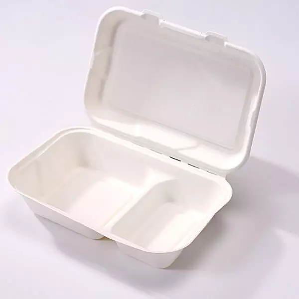 sugarcane bagasse rectangular compartment food lunch box 9 x6