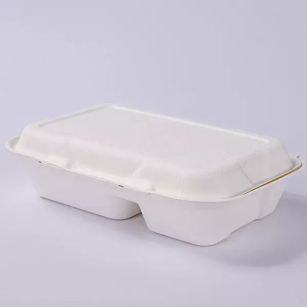 sugarcane bagasse rectangular compartment food lunch box 9 x6