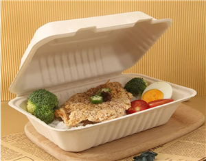 pulp sugarcane bagasse lunch paper box packing