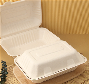 Китай целлюлоза, сахарный тростник, жмых, обед, бумажная коробка, упаковка, производитель