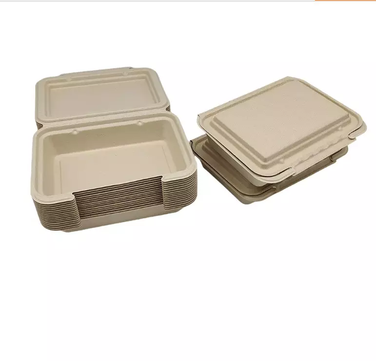 sugarcane bagasse pulp fast food lunch boxes