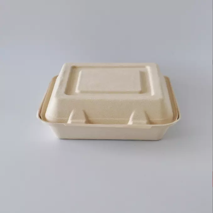 food clamshell box sugarcane bagasse container product