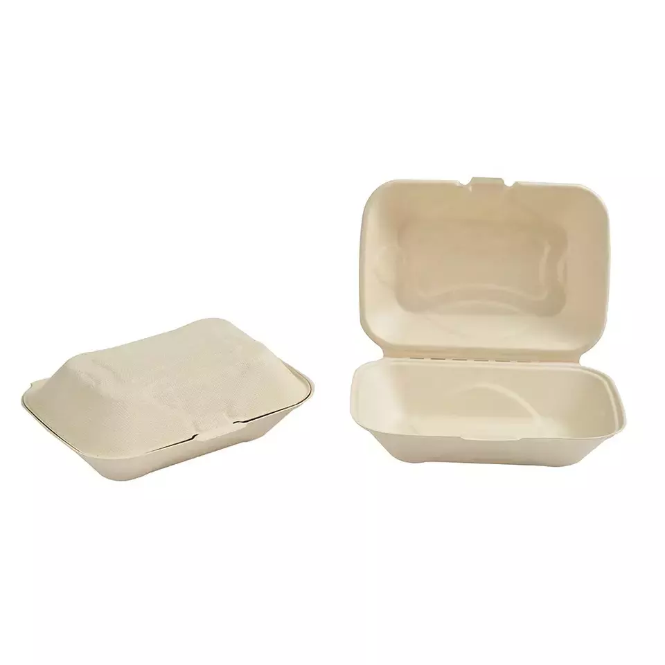 pfas free biodegradable sugarcane bagasse clamshell lunch box