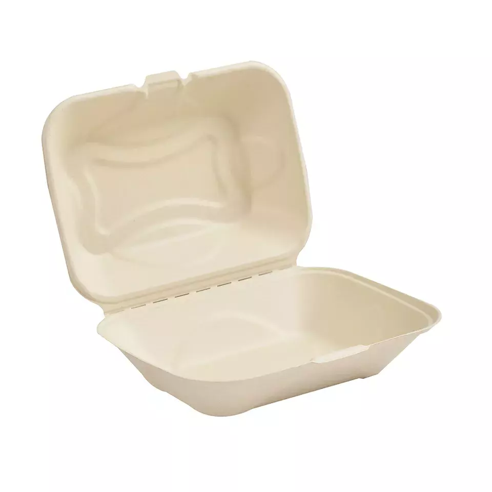 pfas free biodegradable sugarcane bagasse clamshell lunch box