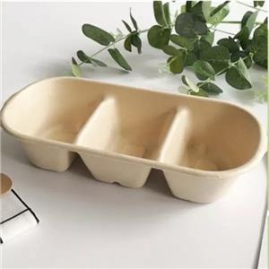 degradable bagasse takeaway lunch food box with lid