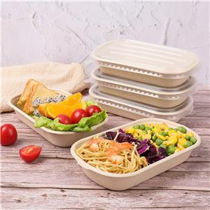 Biodegradable Compostable Sugarcane Takeaway Box Lunch