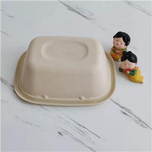 sugarcane bagasse food containers biodegradable lunch box