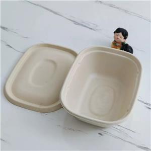 sugarcane bagasse food containers biodegradable lunch box