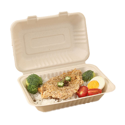 pulp sugarcane bagasse lunch paper box packing