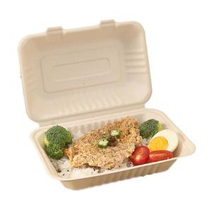Zellstoff-Zuckerrohr-Bagasse-Lunchpapier-Box-Verpackung