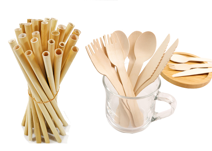 Disposable biodegradable cutlery