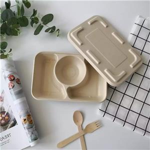 pulp sugarcane bagasse 3 compartment lunch paper box
