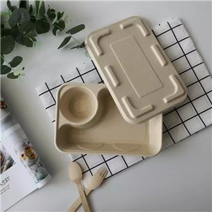 biodegradable takeout lunch box sugarcane bagasse