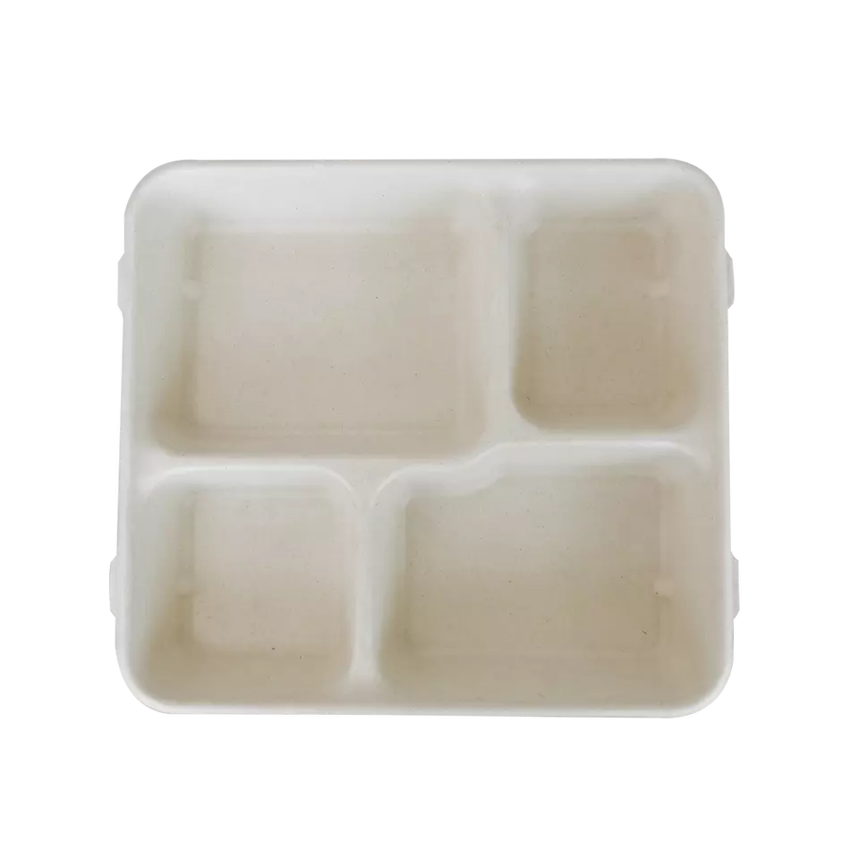 compostable square paper trays bagasse lunch box take away