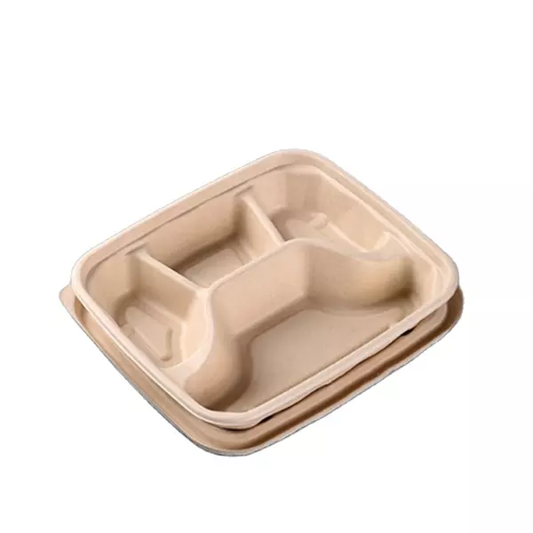 sugarcane bagasse pulp compartment lunch food box with lid