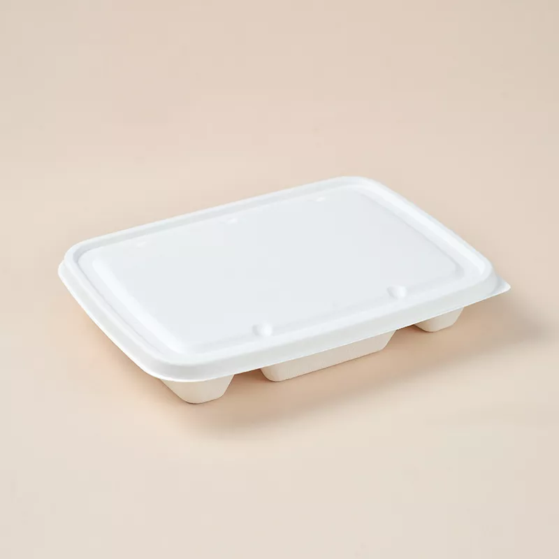 6 compartment takeway lunch food box sugarcane bagasse