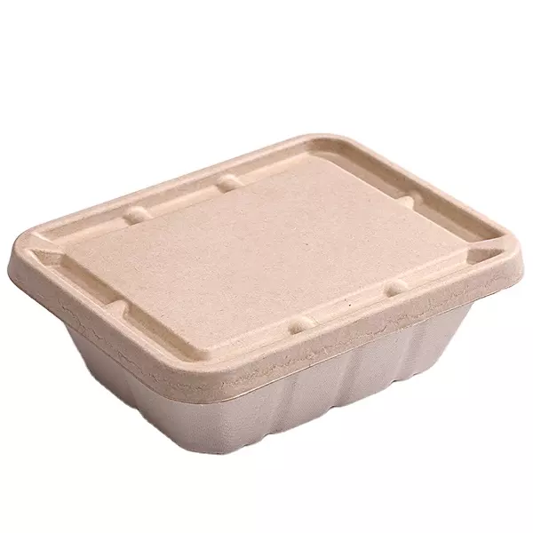 Caja de comida para llevar de bagazo de caña de azúcar biodegradable con tapa