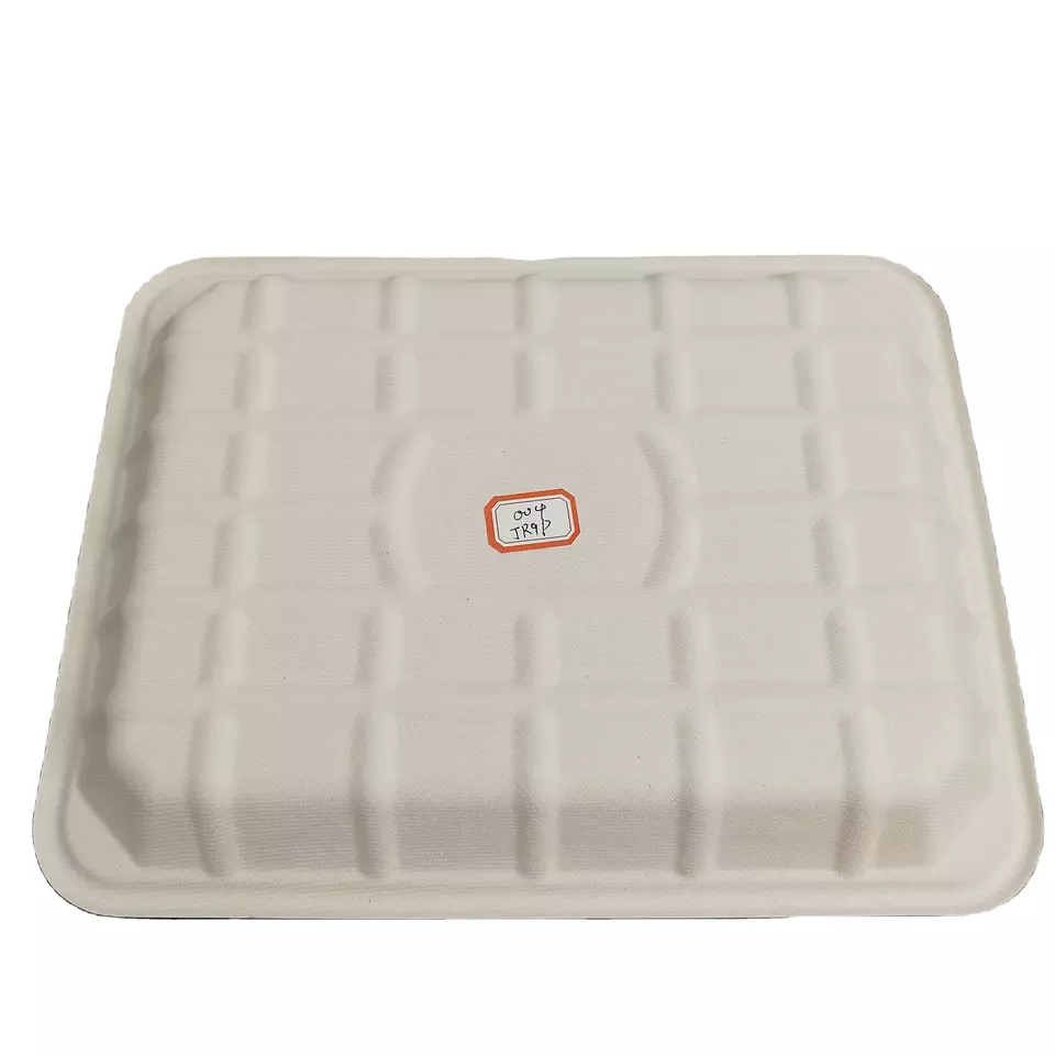 disposable bagasse pulp meat tray