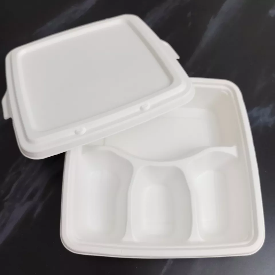 disposable bagasse pulp fast food packaging tray